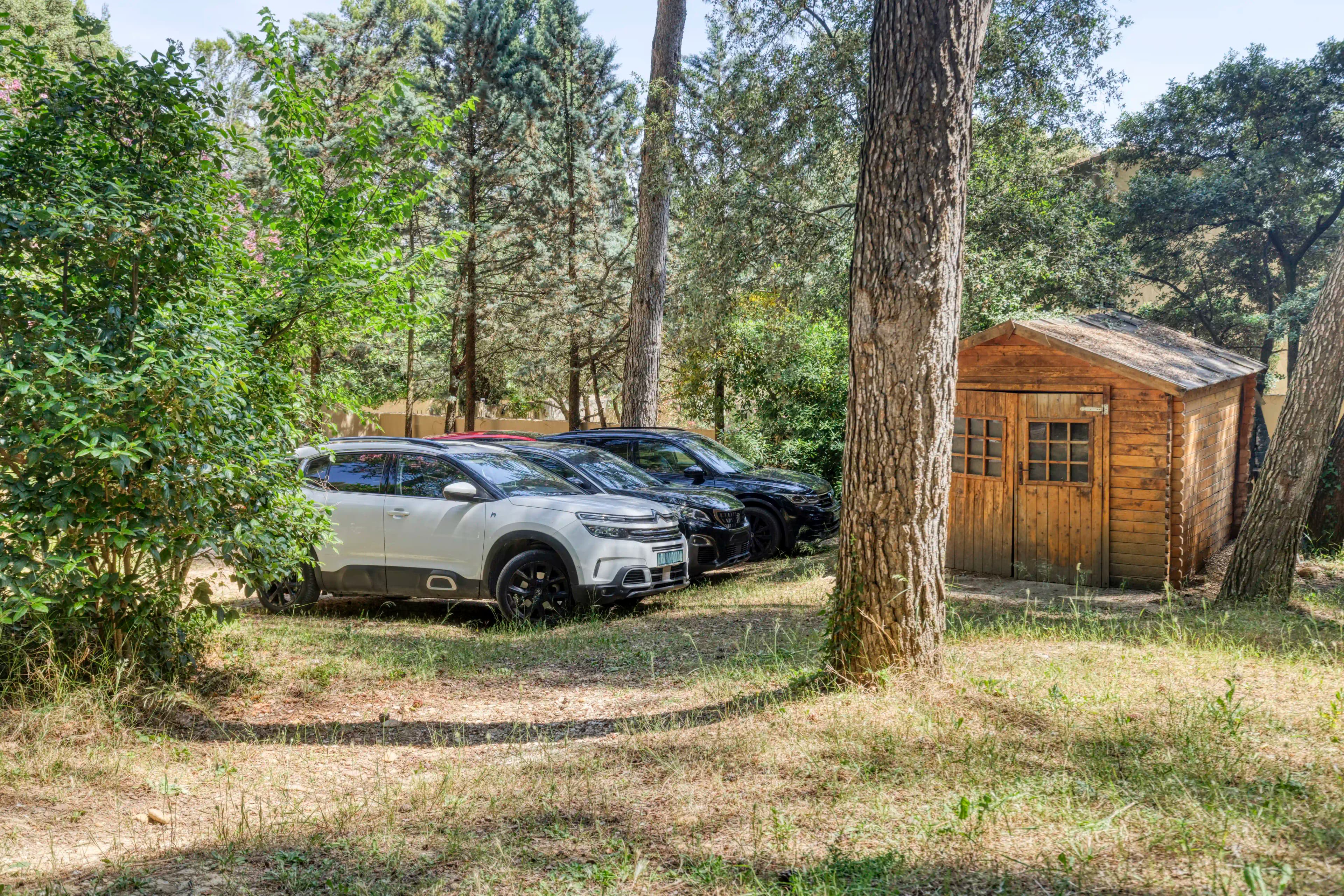 Driveway — Estate entrance, privacy and greenery