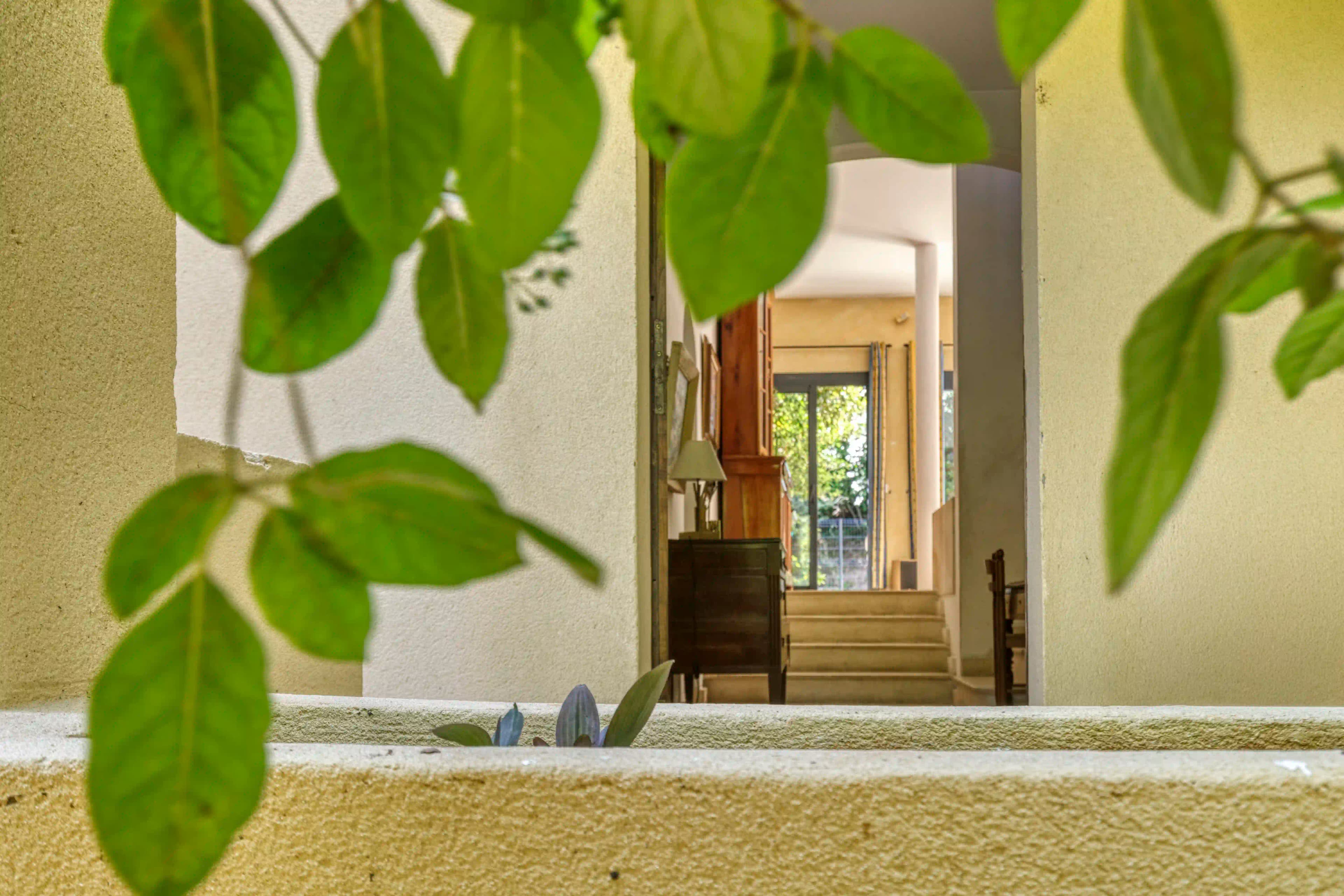 Grounds — Lush vegetation, 1,709 sqm of greenery