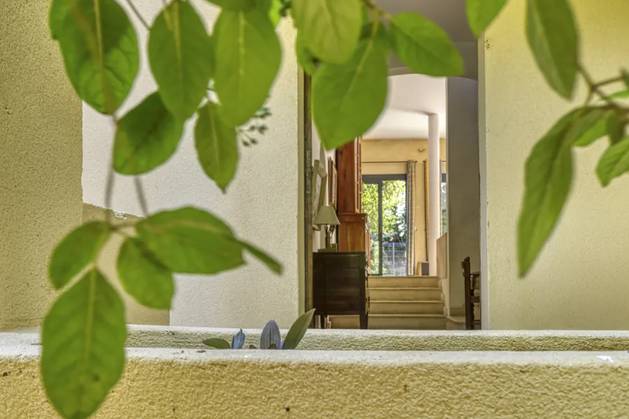 A glimpse of the garden