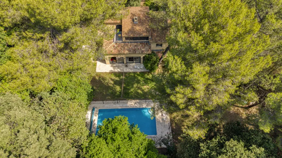 The property among the trees