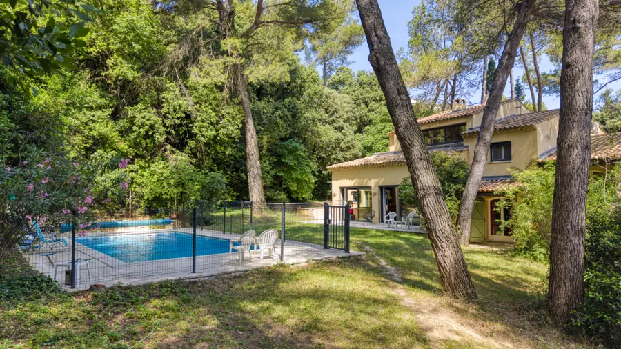 The pool among the trees