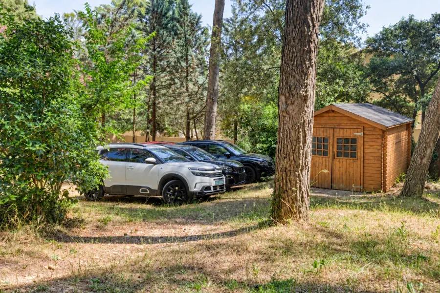 AI restoration suggestion — parking shed
